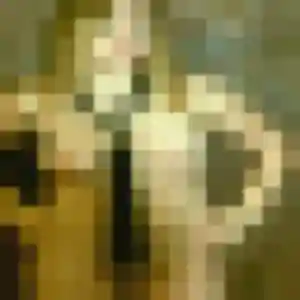 Rejoins Nael, 26 ans à Passais Villages gratuitement