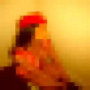 Celeste (20 ans) à Perdreauville attend une rencontre rapidement