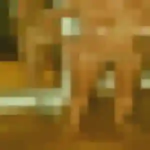 Apolline, fille de 38 ans cherche plan cul à Périssac