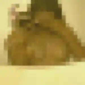 Photo de Inaya à Péron (24 ans) - plan cul discret