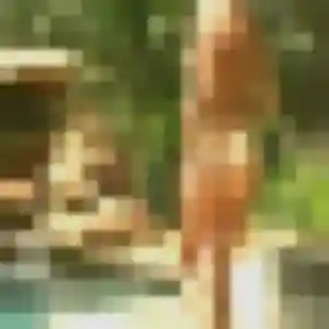 Photo de Capucine à Pézenas (36 ans) - plan cul gratuit