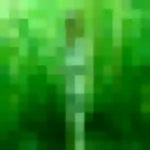 Contacte Candice, 39 ans à Picauville en t'inscrivant