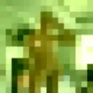 Lyana, 22 ans, disponible à Pierrefitte-sur-Sauldre pour un plan cul