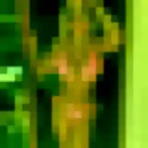 Photo exclusive de Lila, 30 ans à Pierres - rencontre sans lendemain