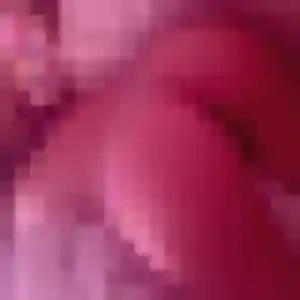 Belle Axelle, 21 ans à Pins-Justaret - la contacter