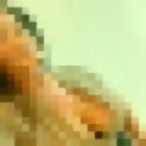 Profil de Anissa à Pipriac (39 ans) - plan cul gratuit