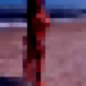 Photo de Alina à Pissos (19 ans) - plan cul anonyme