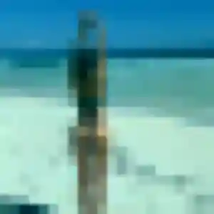 Profil de Isaure à Pléboulle (32 ans) - plan cul anonyme