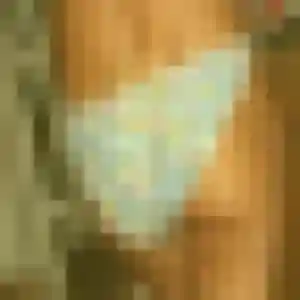 plan cul à Plescop : profil de Inaya, 26 ans - accès libre