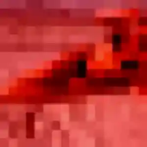 Thais (36 ans) à Pleurtuit attend un plan cul ce soir