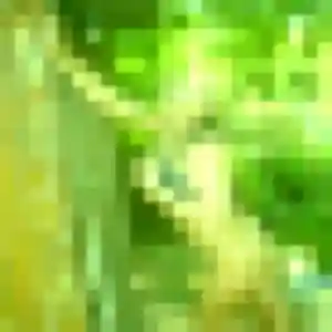 plan cul à Ploubezre : profil de Olivia, 33 ans - accès libre