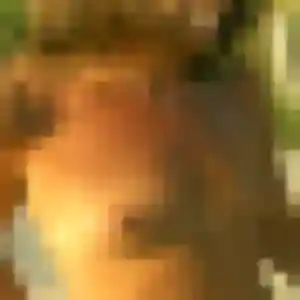 Photo sexy de Elya, 33 ans à Plougar - plan discret