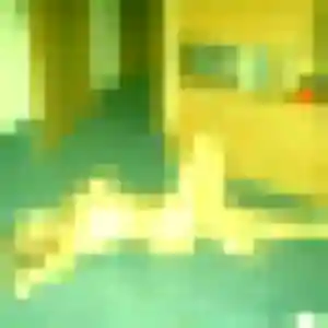 Emna (31 ans) à Plouguernével cherche une rencontre ce soir