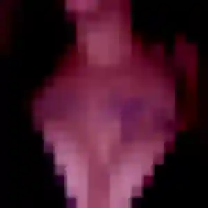 Photo privée de Nael, 27 ans à Plouzévédé - rencontre coquine