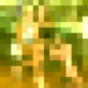 Eden, 21 ans, disponible à Plumieux pour un plan cul