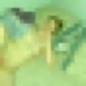 Noemi (30 ans) à Plumieux cherche une rencontre maintenant