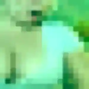 Photo de Noemi à Poigny-la-Forêt (26 ans) - plan cul anonyme