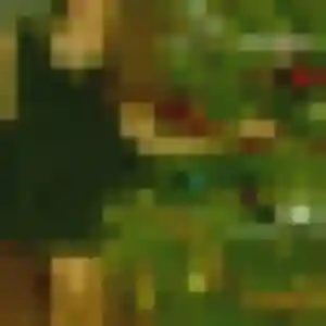 plan cul à Pointe-à-Pitre : photo de Daphne, 20 ans - inscription gratuite