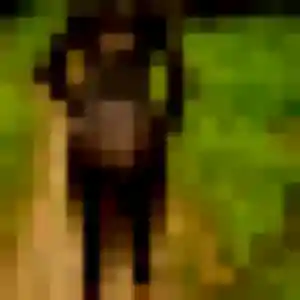 Photo exclusive de Mailys, 28 ans à Pontgibaud - rencontre coquine
