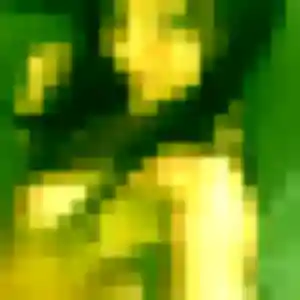 Photo privée de Yara, 21 ans à Pourrières - rencontre coquine