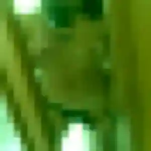 Charmante Kenza, 35 ans à Pouru-Saint-Remy - la contacter