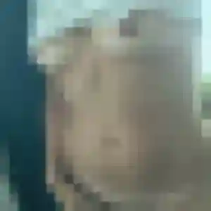 Lena (38 ans) à Pouzols-Minervois cherche un plan cul rapidement