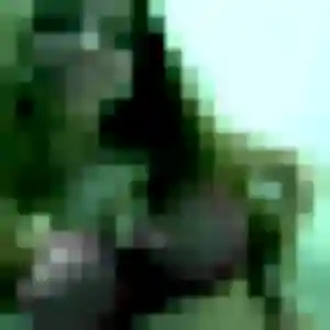 Photo de Kenza à Prémont (23 ans) - plan cul anonyme