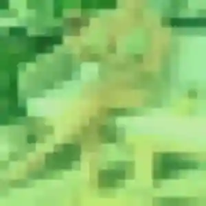 Contacte Maelys, 26 ans à Préseau en privé