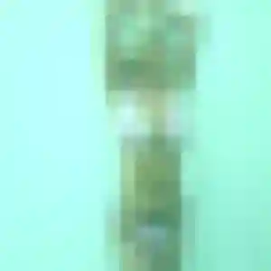 Belle Mila, 19 ans à Preux-au-Bois - la contacter