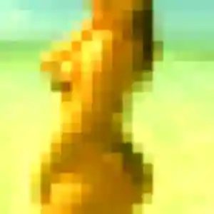 Photo de Eden à Prunay-en-Yvelines (35 ans) - plan cul anonyme