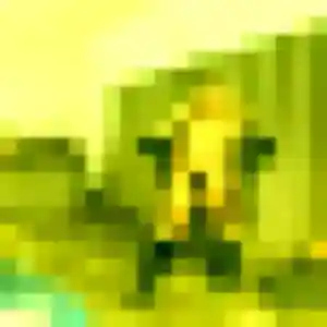 Candice, 37 ans, disponible à Prunay-le-Gillon pour une rencontre coquine