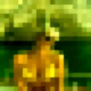 Rejoins Emna, 38 ans à Puisieux en t'inscrivant