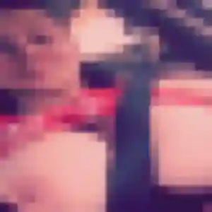 Contacte Elya, 19 ans à Puylaroque en privé