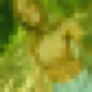 Profil de Mila à Puylaurens (33 ans) - plan cul anonyme