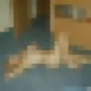 Aya, 31 ans, cherche un plan cul à Quarré-les-Tombes