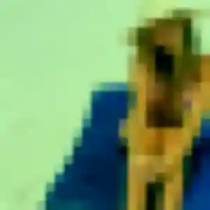Photo perso de Lena, 39 ans à Quimper - rencontre coquine