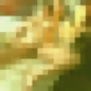 Photo privée de Alix, 22 ans à Quistinic - rencontre coquine