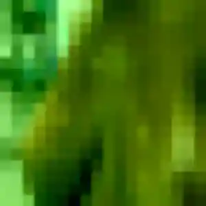 Découvre Mailys, 39 ans à Quittebeuf gratuitement