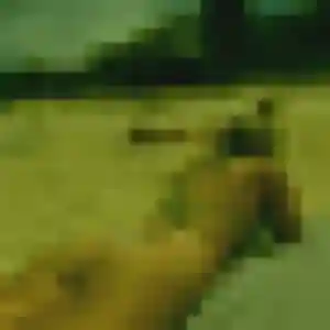 Zelie de Rânes, 31 ans - plan cul sans prise de tête