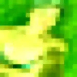 Anouk, 21 ans, en ligne à Rannée pour une rencontre coquine