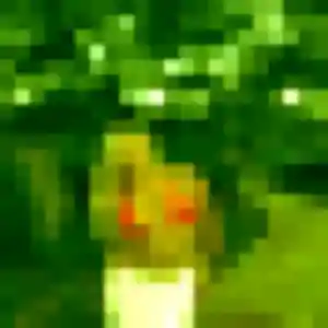 Lila, 24 ans, veut un plan cul à Rannée