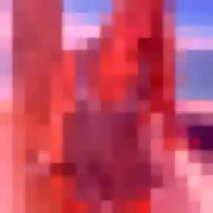 Photo privée de Alissa, 19 ans à Rauville-la-Bigot - rencontre coquine