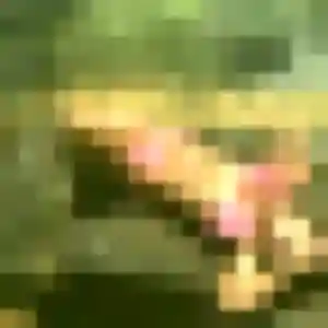 Charmante Lilas, 23 ans à Rayol-Canadel-sur-Mer - la contacter