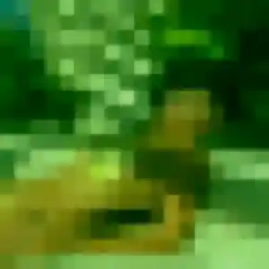 Cassandre (24 ans) à Réalcamp cherche une rencontre maintenant