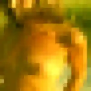 Photo de Elya à Rédange (32 ans) - plan cul anonyme