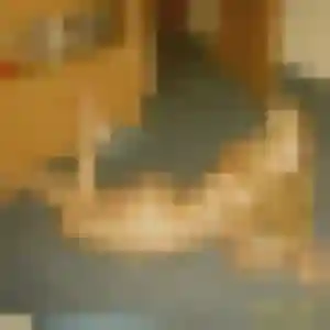 Louna, 35 ans, connectée à Remouillé pour une rencontre coquine