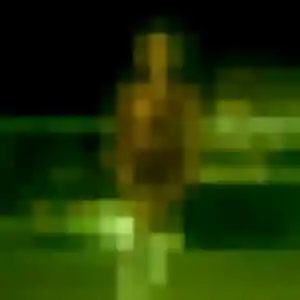 Charmante Sana, 23 ans à Renazé - voir sa photo