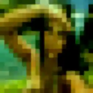 Photo perso de Lyana, 33 ans à Rians - rencontre coquine