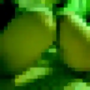 Photo perso de Ninon, 19 ans à Rochefort-en-Yvelines - rencontre sans lendemain