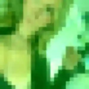 Flore, 23 ans, cherche un plan cul à Rolleville